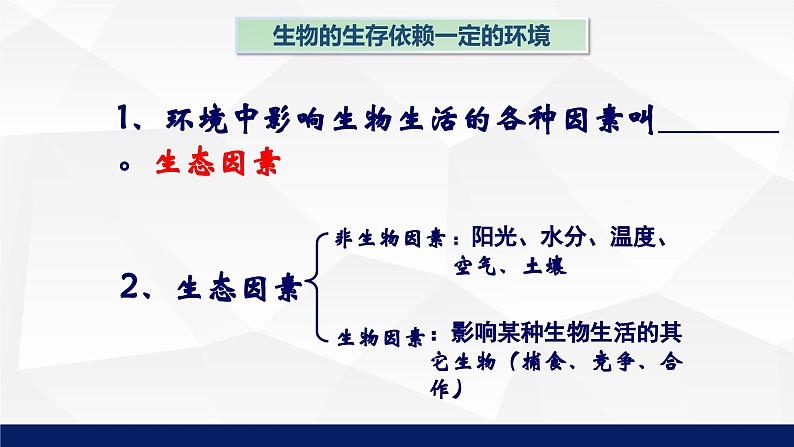 苏教版七年级生物上册 1.2生物与环境的关系教学课件第6页