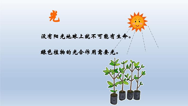 苏教版七年级生物上册 1.2生物与环境的关系教学课件第7页