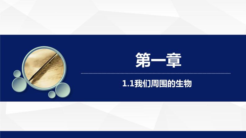 苏教版七年级生物上册 1.1我们周围的生物教学课件01