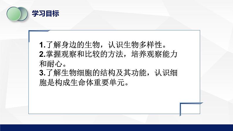 苏教版七年级生物上册 2.1探索生命的器具（第一课时）教学课件第3页