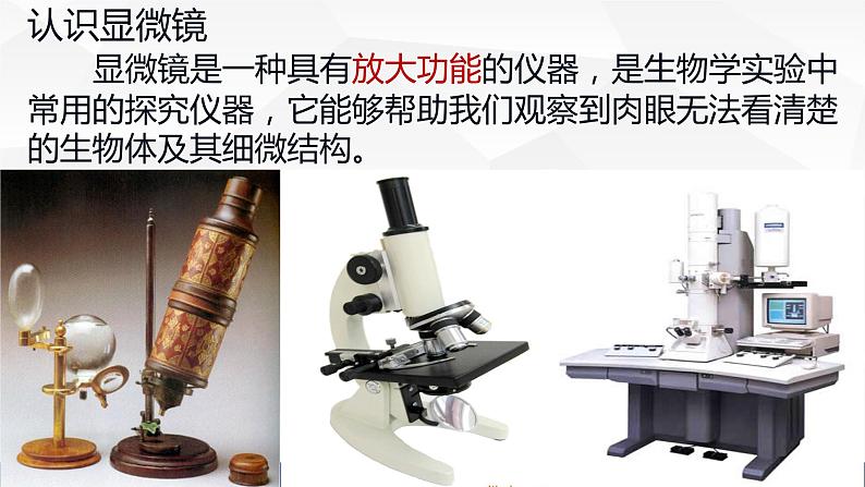 苏教版七年级生物上册 2.1探索生命的器具（第一课时）教学课件第6页