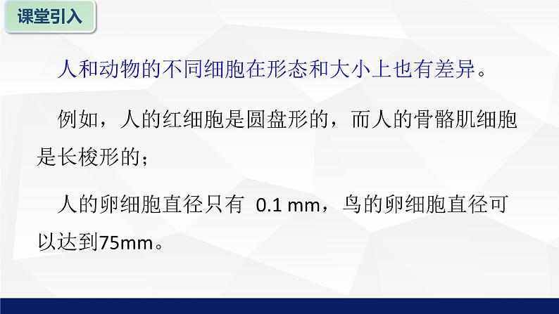 苏教版七年级生物上册 3.2人和动物细胞的结构和功能课件05