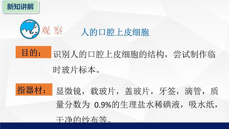 苏教版七年级生物上册 3.2人和动物细胞的结构和功能课件06