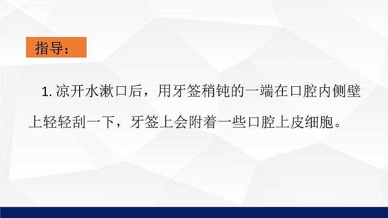 苏教版七年级生物上册 3.2人和动物细胞的结构和功能课件07