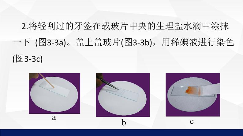 苏教版七年级生物上册 3.2人和动物细胞的结构和功能课件08