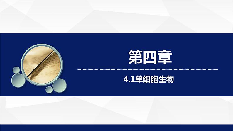 苏教版七年级生物上册 4.1单细胞生物教学课件01