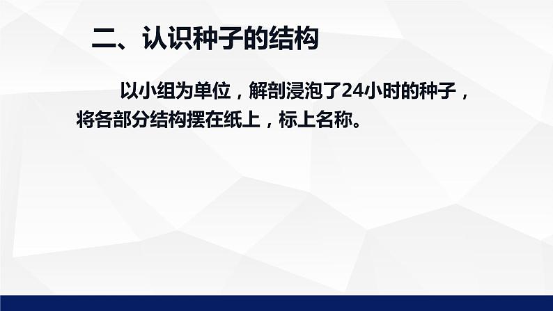 苏教版七年级生物上册 5.1 植物种子的萌发教学课件07