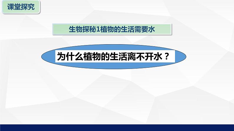 苏教版七年级生物上册 5.3植物生长需要水和无机盐教学课件第5页