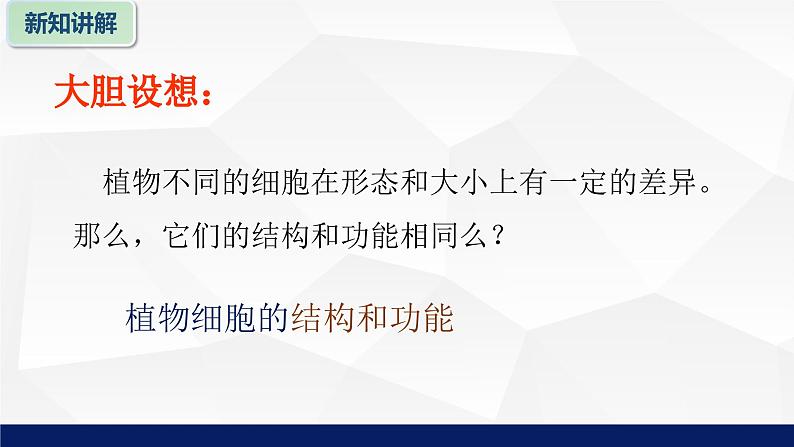 苏教版七年级生物上册 3.1植物细胞的结构与功能教学课件第7页