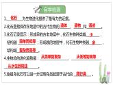 北师大版八年级生物下册课件 21.2 生物的进化（第1课时）