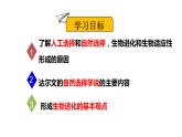 北师大版八年级生物下册课件 21.2 生物的进化（第2课时）