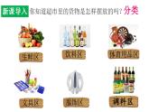 北师大版八年级生物下册课件 22.1 生物的分类