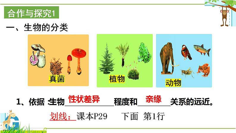 北师大版八年级生物下册课件 22.1 生物的分类04