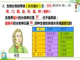 北师大版八年级生物下册课件 22.1 生物的分类