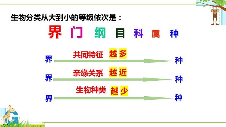 北师大版八年级生物下册课件 22.1 生物的分类08