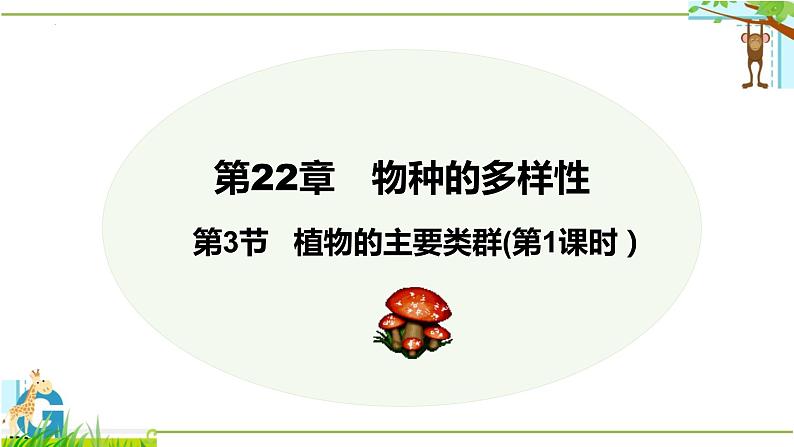 北师大版八年级生物下册课件 22.3 植物的主要类群（第1课时）01