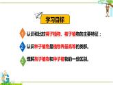 北师大版八年级生物下册课件 22.3 植物的主要类群（第2课时）