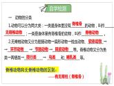 北师大版八年级生物下册课件 22.4 动物的主要类群（第1课时）