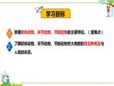 北师大版八年级生物下册课件 22.4 动物的主要类群（第2课时）