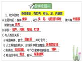 北师大版八年级生物下册课件 22.4 动物的主要类群（第2课时）