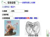 北师大版八年级生物下册课件 22.4 动物的主要类群（第2课时）