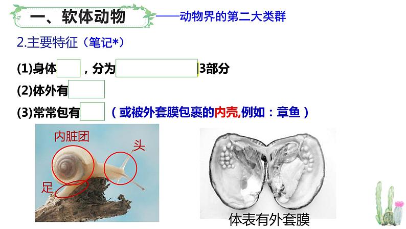 北师大版八年级生物下册课件 22.4 动物的主要类群（第2课时）05