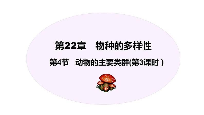 北师大版八年级生物下册课件 22.4 动物的主要类群（第3课时）第1页