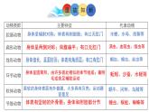北师大版八年级生物下册课件 22.4 动物的主要类群（第3课时）
