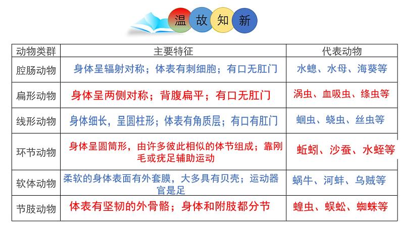 北师大版八年级生物下册课件 22.4 动物的主要类群（第3课时）02