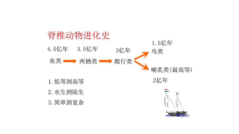 北师大版八年级生物下册课件 22.4 动物的主要类群（第3课时）第5页