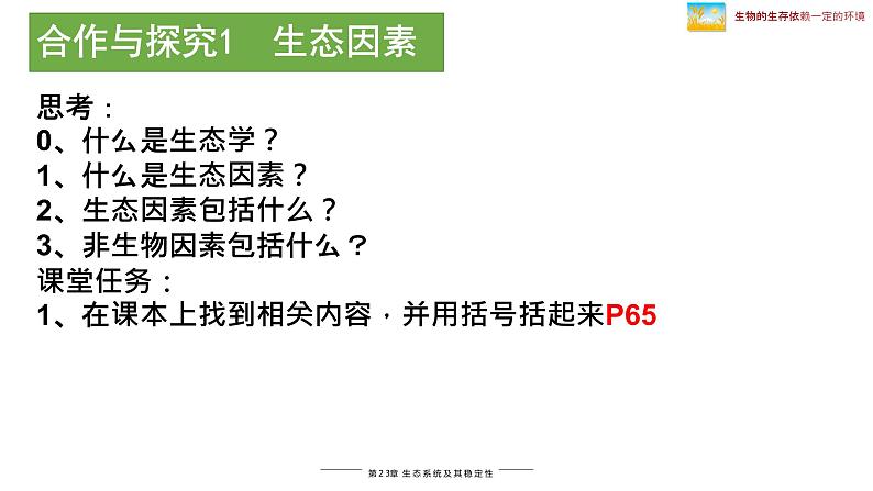 北师大版八年级生物下册课件 23.1 生物的生存依赖一定的环境第4页