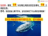 北师大版八年级生物下册课件 23.1 生物的生存依赖一定的环境