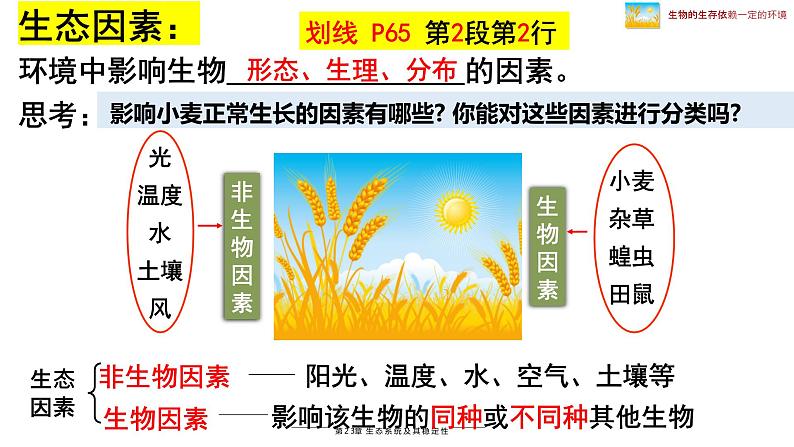 北师大版八年级生物下册课件 23.1 生物的生存依赖一定的环境第6页