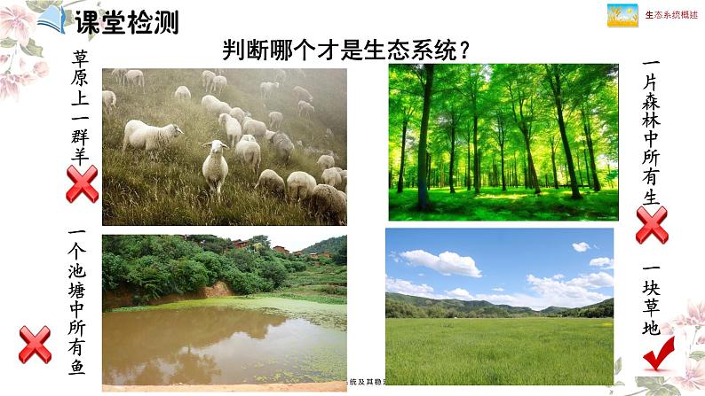 北师大版八年级生物下册课件 23.2 生态系统概述05