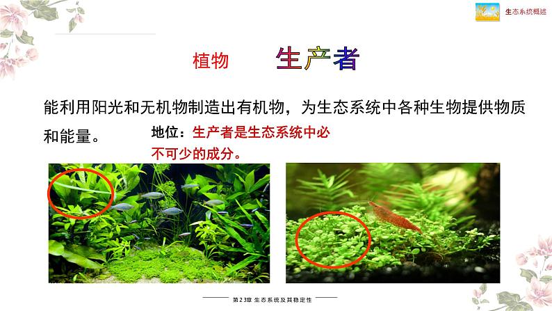 北师大版八年级生物下册课件 23.2 生态系统概述08