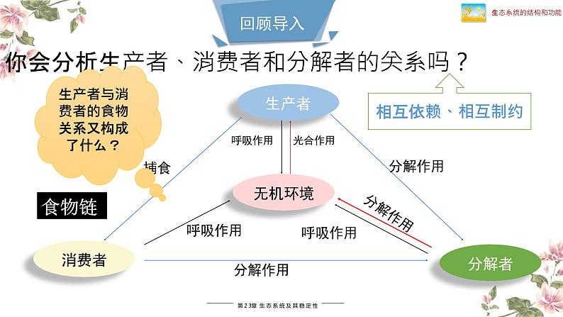 北师大版八年级生物下册课件 23.3 生态系统的结构和功能（第1课时）第1页