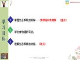 北师大版八年级生物下册课件 23.3 生态系统的结构和功能（第1课时）