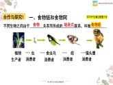 北师大版八年级生物下册课件 23.3 生态系统的结构和功能（第1课时）