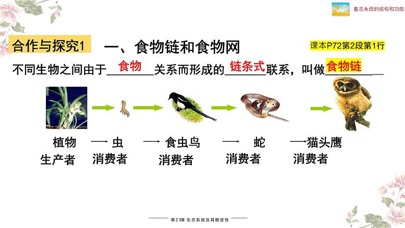 北师大版八年级生物下册课件 23.3 生态系统的结构和功能（第1课时）第4页