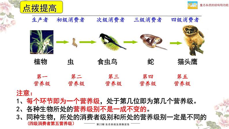 北师大版八年级生物下册课件 23.3 生态系统的结构和功能（第1课时）第6页