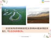 北师大版八年级生物下册课件 23.4 生态系统的稳定性