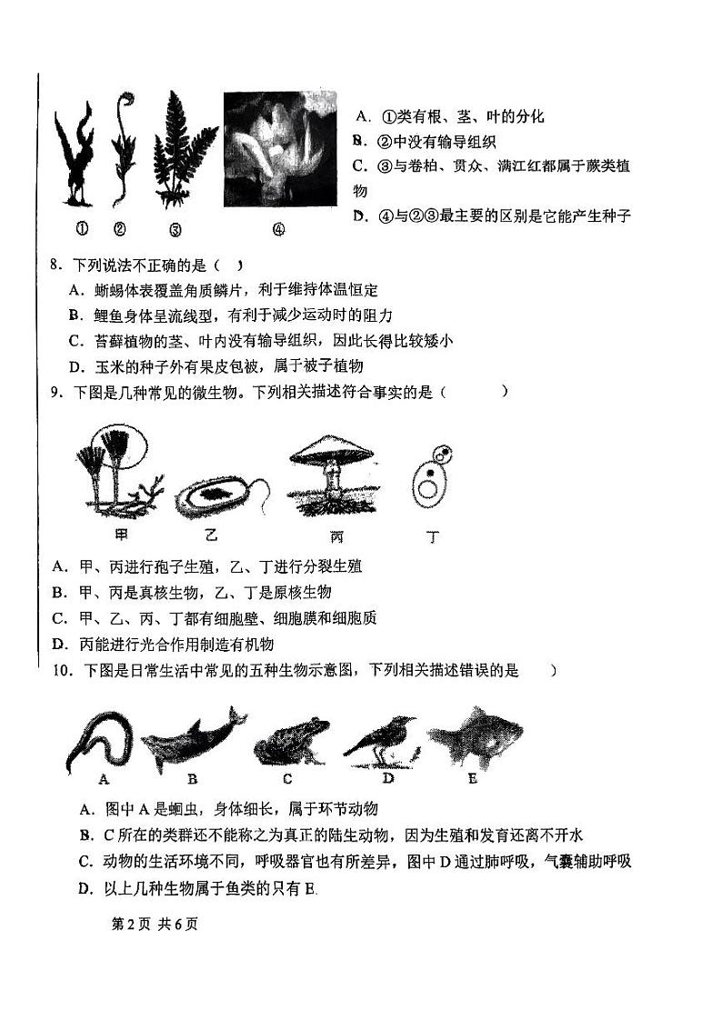 河南省平顶山市第一高级中学初中部2023-2024学年八年级上学期期中测试生物试卷02