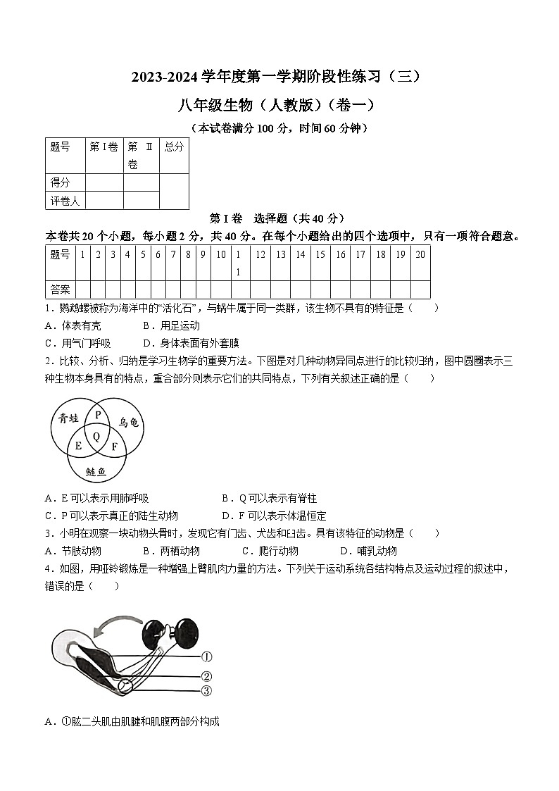 山西省朔州市部分学校2023-2024学年八年级上学期第二次月考生物试卷01