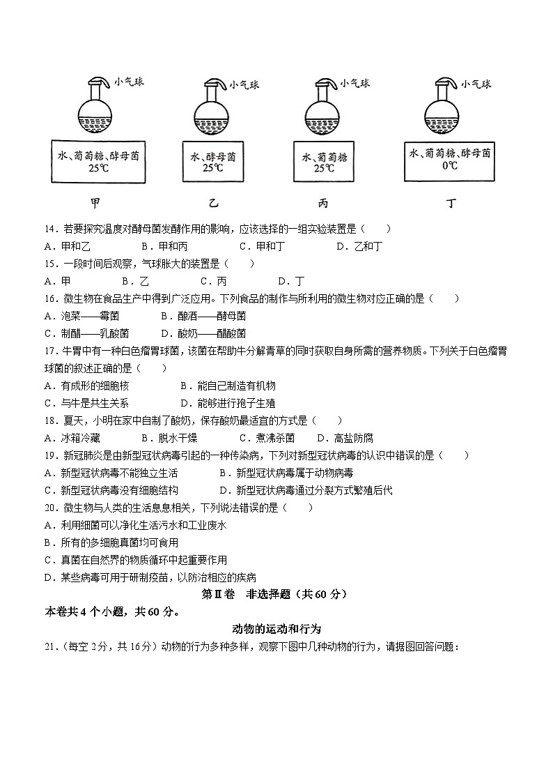 山西省朔州市部分学校2023-2024学年八年级上学期第二次月考生物试卷03