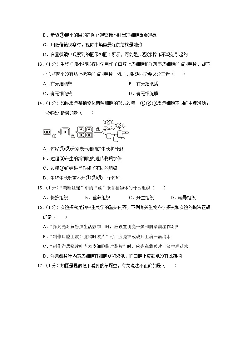 河南省周口市太康县2023-2024学年七年级上学期期中生物试卷03