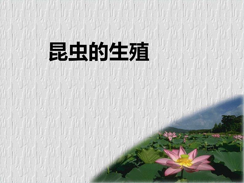 人教版生物八年级下册 第二节 昆虫的生殖和发育 (2) 课件第2页