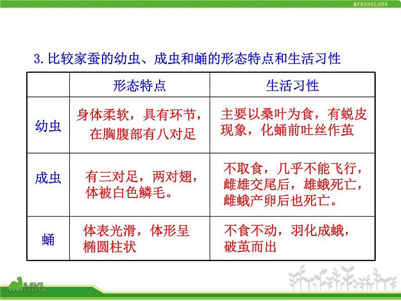 人教版生物八年级下册 第二节 昆虫的生殖和发育 (2) 课件第8页