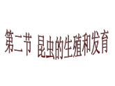 人教版生物八年级下册 第二节 昆虫的生殖和发育 (3) 课件
