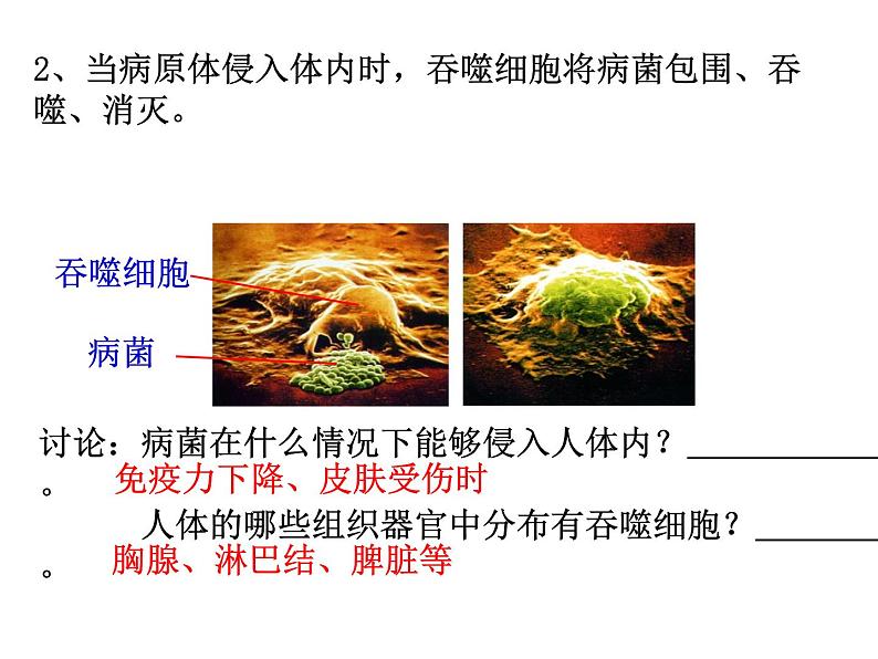 人教版生物八年级下册 第二节 免疫与计划免疫 (1) 课件04