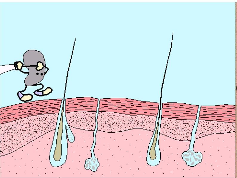 人教版生物八年级下册 第二节 免疫与计划免疫 (2) 课件第2页